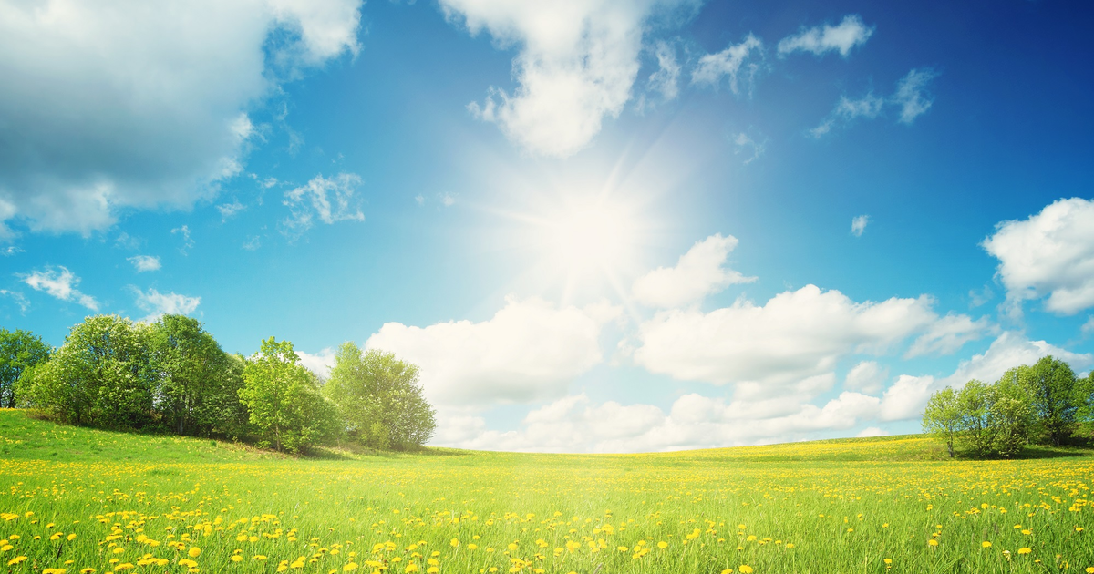 Karlsruhe: Environmental Groups Challenge Amended Climate Law